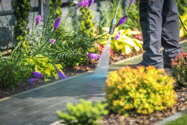 Best Animal Enclosure Cleaning  in Clifton, TN