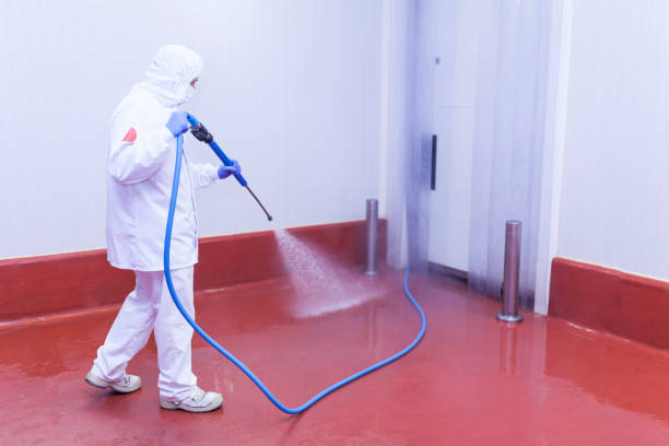Best Rust Removal  in Clifton, TN